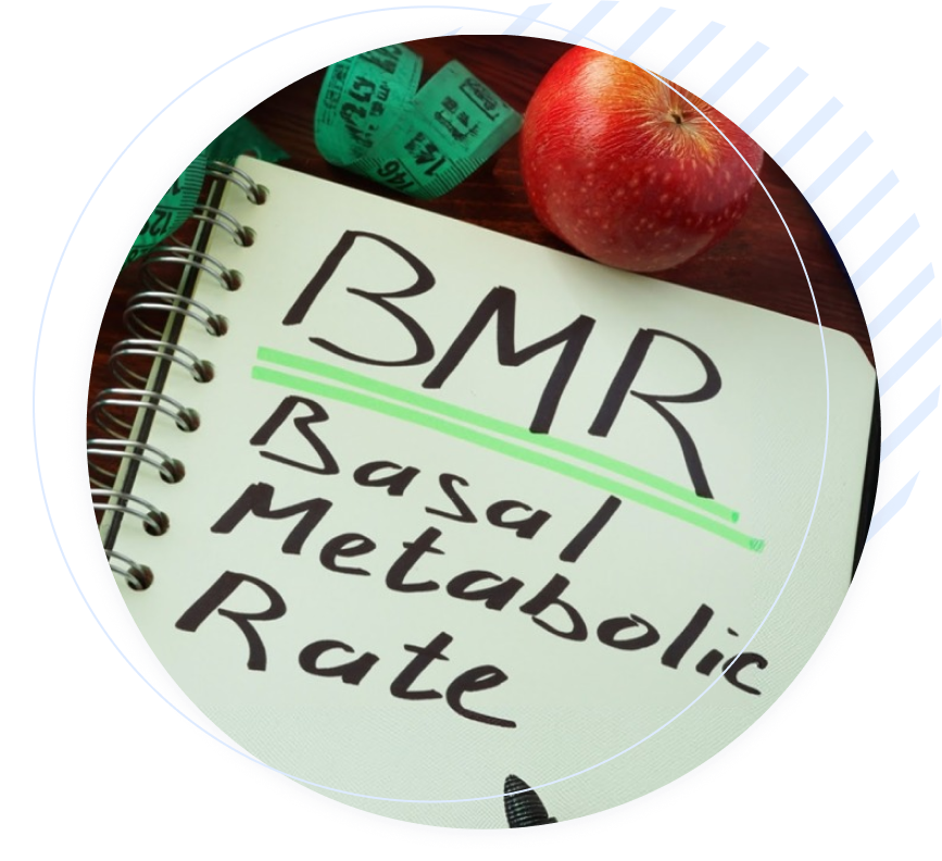 What is a BMR calculator?