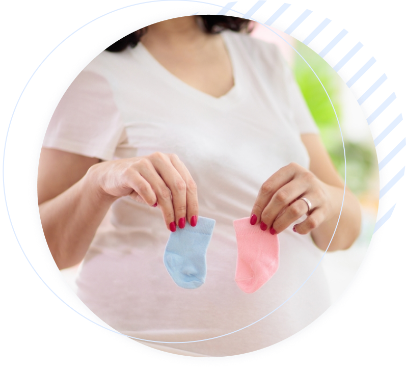 Does a Conception Calculator Show Baby Gender?