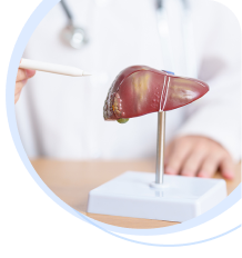 Liver Diseases