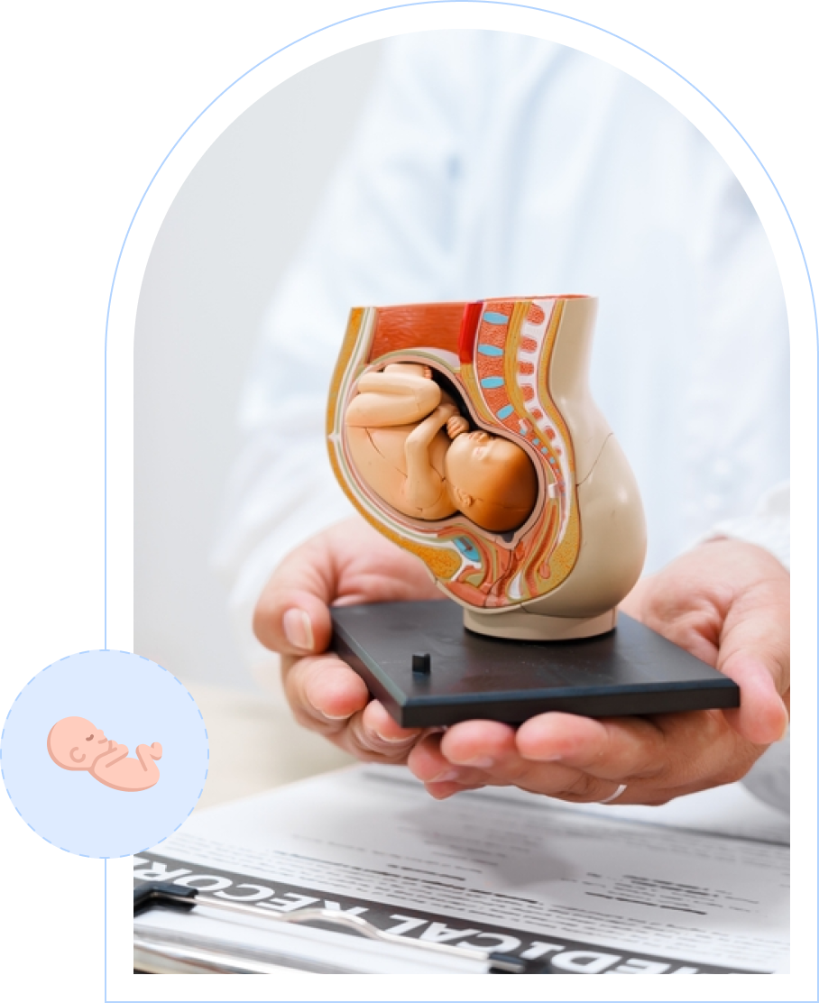 Is There a Difference Between Gestational Age and Fetal Age?