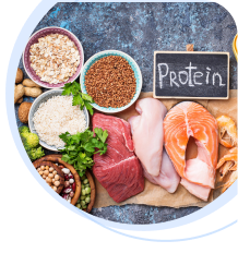 Protein