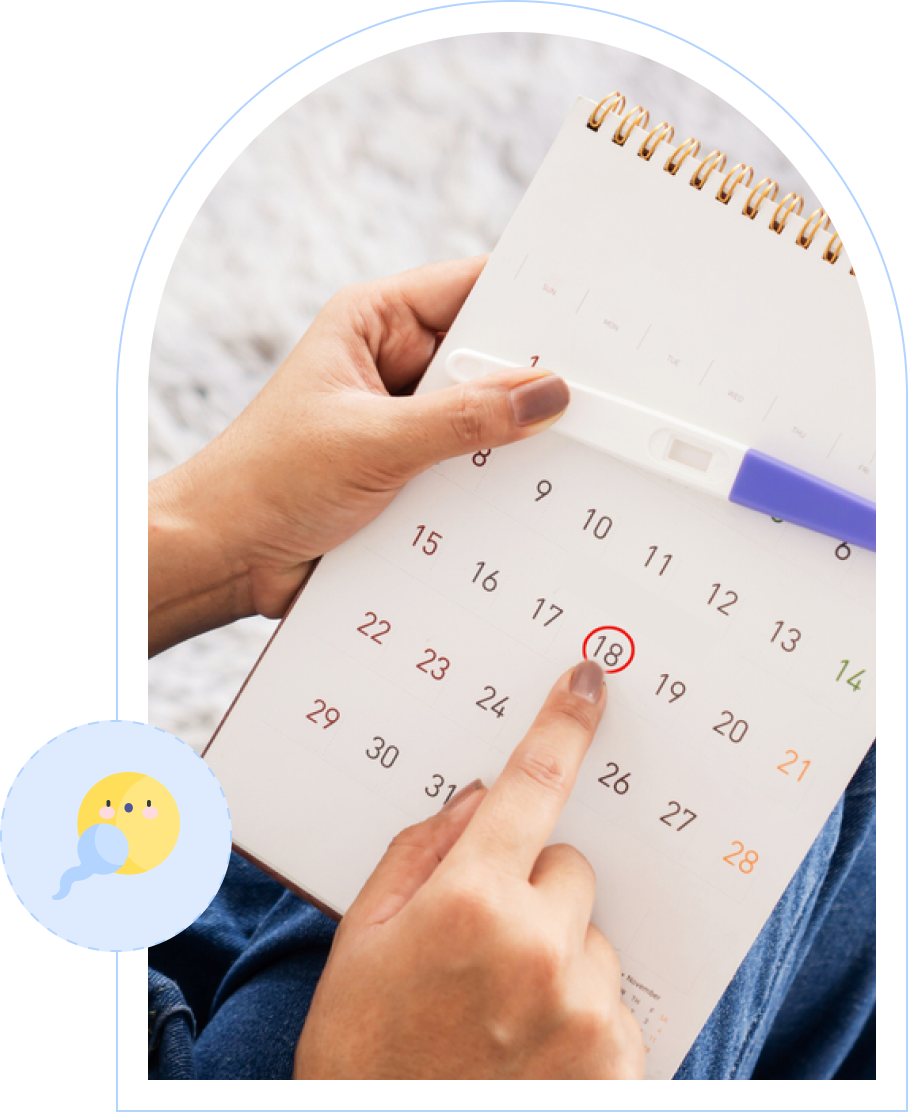 Why Is It Important to Know When You Conceived?