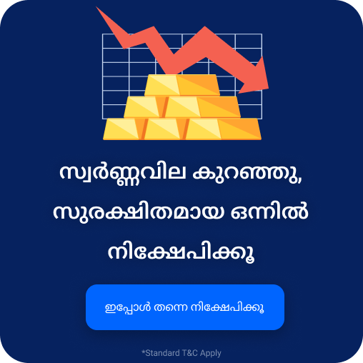 invest in safer option gold