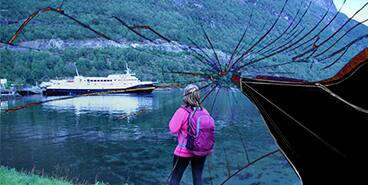 How is the Premium of Marine Insurance Policy Decided?