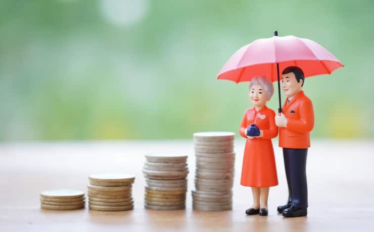 How to Check the Maturity Amount of LIC Policies?