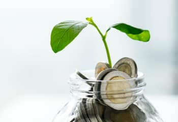 Financial Literacy For Beginners