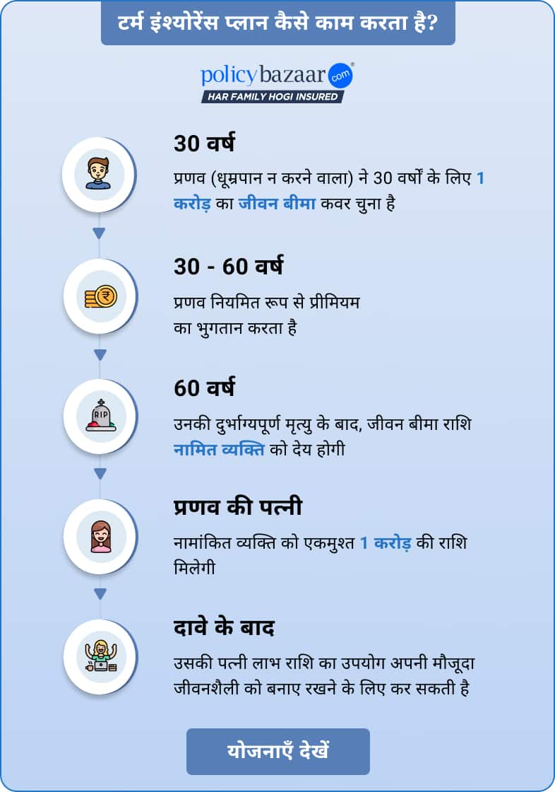 टर्म इंश्योरेंस प्लान कैसे काम करता है?