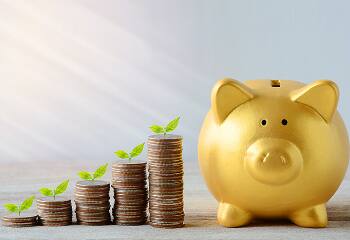 How to Lower Term Insurance Premium Rates?