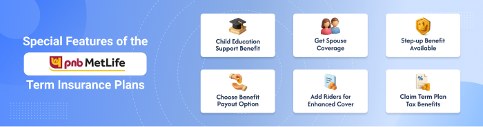 Features of PNB Metlife Term Plans