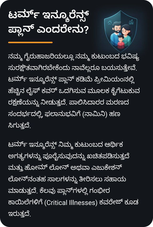 ಟರ್ಮ್ ಪ್ಲಾನ್